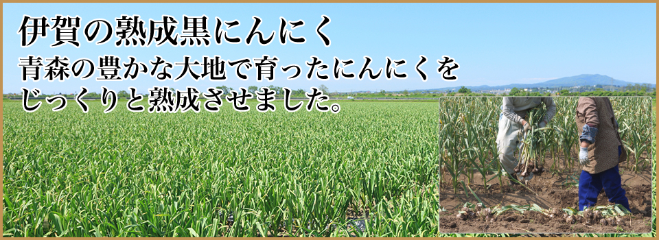 伊賀の熟成黒にんにく：青森産の厳選にんにくをじっくりと無添加熟成